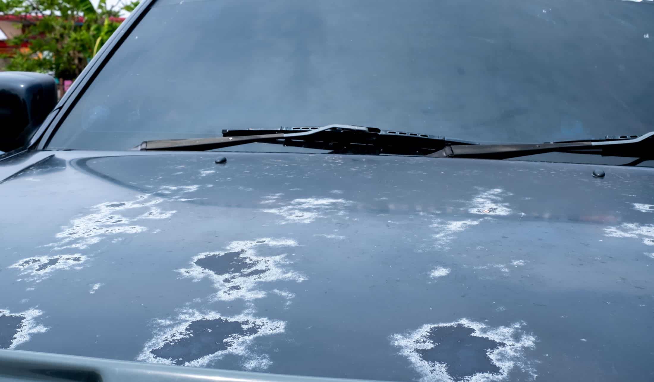 The Havoc the Sun Can Wreak on Your Car