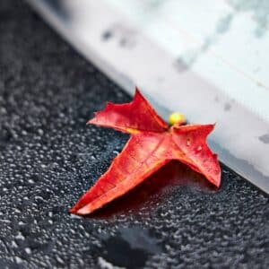 Close-up of a red autumn leaf on a wet car window with raindrops. Seasonal fall mood, nature detail, rainy weather background, perfect for concepts of change, nostalgia, and tranquility